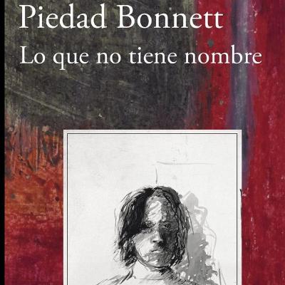 Audiolibro Lo que no tiene nombre - Piedad Bonnet - Episodio 17