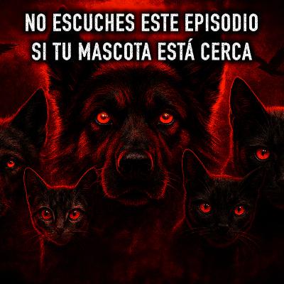 Animales Actuando como Humanos | Vol. II