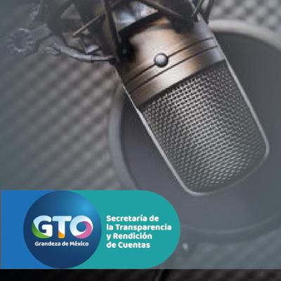 Auditar para rendir cuentas.