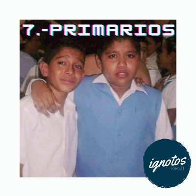 7.- Primarios 7.- Primarios
