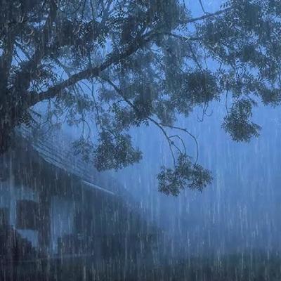 8 horas de lluvia, truenos y río. Para dormir , estudiar , relajarse. 8 horas de lluvia, truenos y río. Para dormir , estudiar , relajarse.