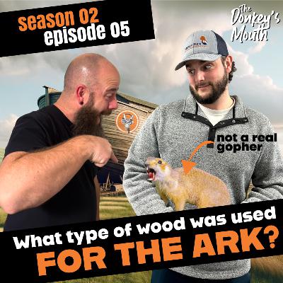 What type of wood was used for the ark?