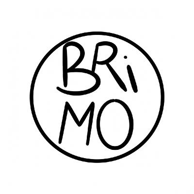 BRIMO Mi viaje a Londres