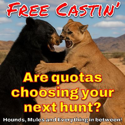 Bear or lion....What next? Bear or lion....What next?