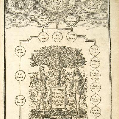 PLATE 242 : NEEDS AND WANTS