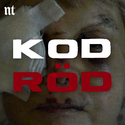 Attacken på Marie-Louise Landberg