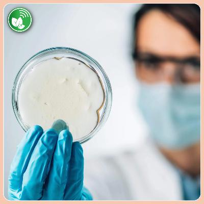 Biotecnología en la vida cotidiana: ¿por qué una multinacional invierte en Córdoba?