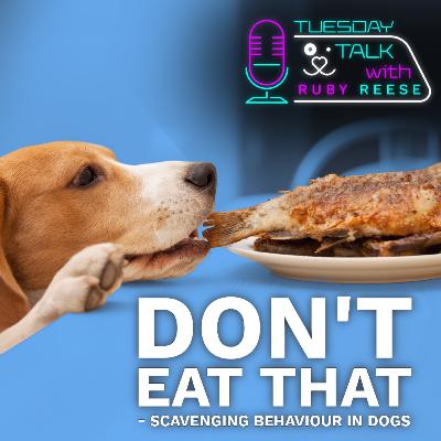 DON’T EAT THAT - Scavenging Behaviour in Dogs