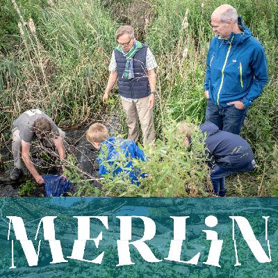 Communicating why freshwater restoration is vital