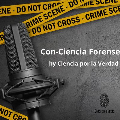 Introducción - 2024 - 1 Introducción - 2024 - 1