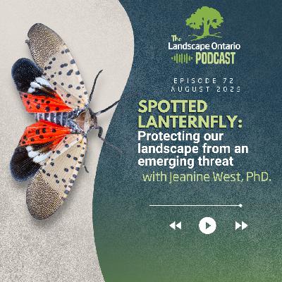 Spotted Lanternfly