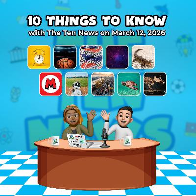 MAR10 Day, Primary Elections, and a Turtle Named Porkchop?