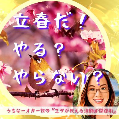72.立春だ！やる？やらない？