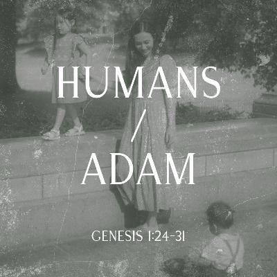Humans / Adam | Genesis 1:24-31 Humans / Adam | Genesis 1:24-31