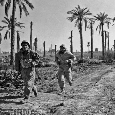 یک نفر ایستاده در نخلستان یک نفر ایستاده در نخلستان