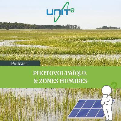 Photovoltaïque et Zones Humides