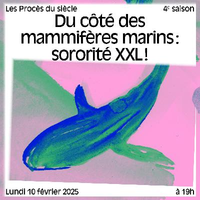 Du côté des mammifères marins : sororité XXL ! Du côté des mammifères marins : sororité XXL !