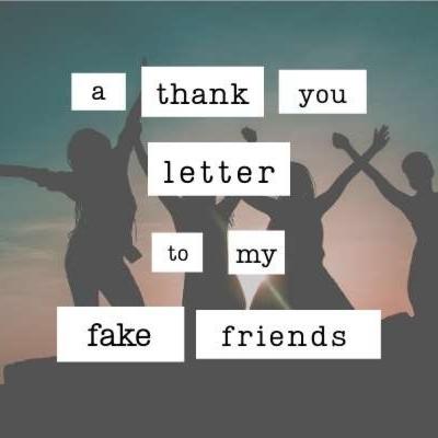 The Fu*🤪 Fake🤫Friends The Fu*🤪 Fake🤫Friends
