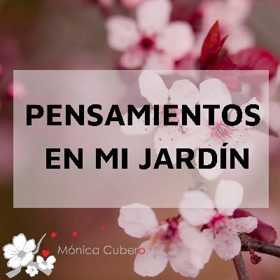 Entrevista a una mujer valiosa: Ingrid de Santulana Cosmética Natural Holística. Ep. 24. T2-11