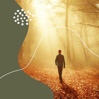 BSC16+ voorjaar 2025 | Toegewijd leven - Kenmerken van Gods kind