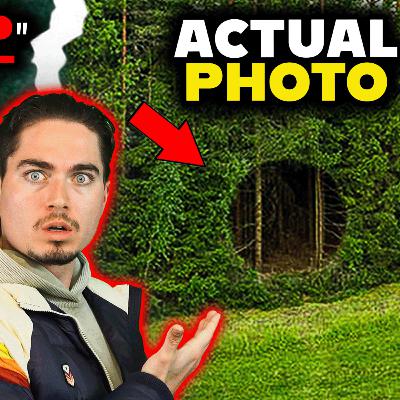We Found a BIZARRE Anomaly In the Deep Woods...