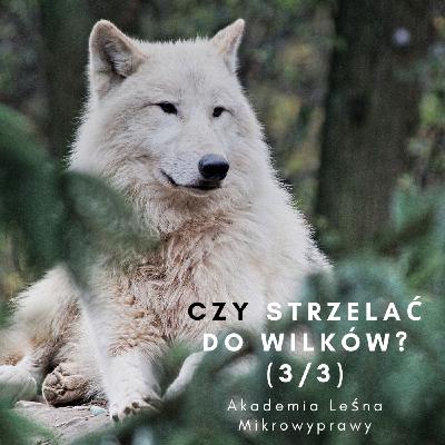 CZY STRZELAĆ DO WILKÓW? (3/3)