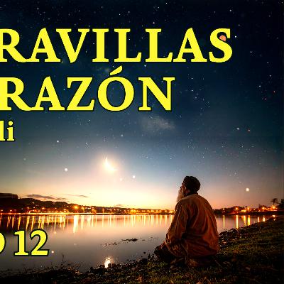 "Entras por las que ingresa Satán al corazón" Al Gazzali - Capítulo 12 -