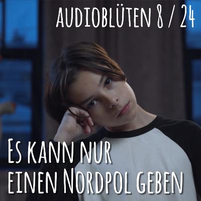 Es kann nur einen Nordpol geben