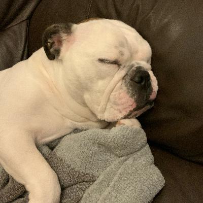 Wilma Snoring