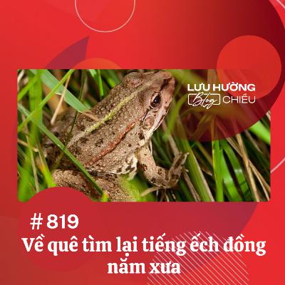 Về quê tìm lại tiếng ếch đồng năm xưa | Lưu Hường blog chiều | Đài Hà Nội