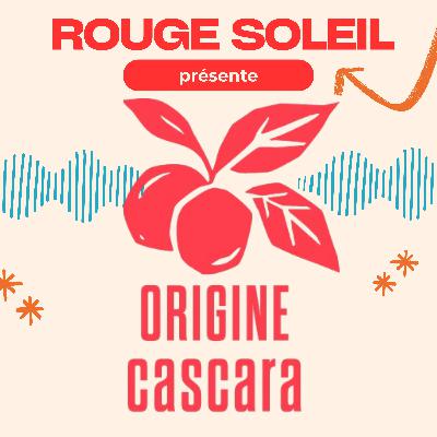 Rencontre avec Victor : fondateur d'Origine Cascara Rencontre avec Victor : fondateur d'Origine Cascara