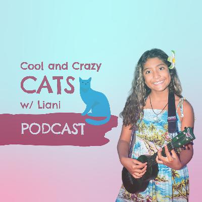 A quick Cool and Crazy Cats summer episode!