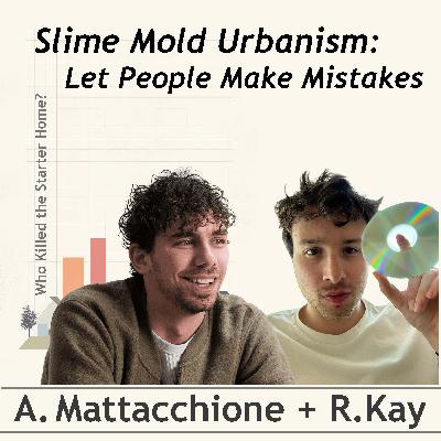 Slime Mold Urbanism: Let People Make Mistakes, conversation with Anthony Mattacchione and Raphael Kay Slime Mold Urbanism: Let People Make Mistakes, conversation with Anthony Mattacchione and Raphael Kay