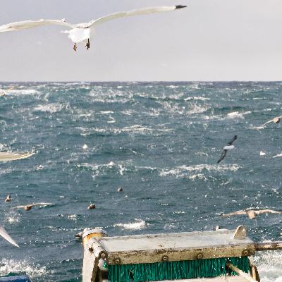 Plenty more fish in the sea - Europe on SKAI - episode 4 (in greek language)