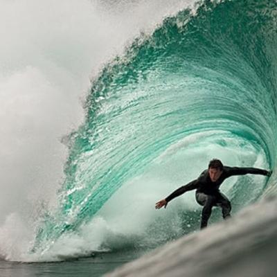 What does a surfboard and 800 hens have in common? What does a surfboard and 800 hens have in common?