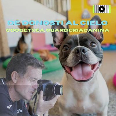 Dogetxea. GuarderiaCanina