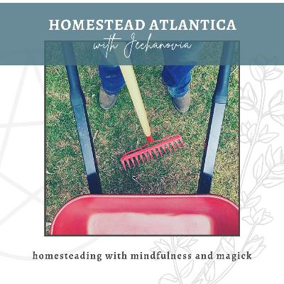 Snow and ice and wind, oh my! | Winter Storms | Homestead Atlantica Podcast