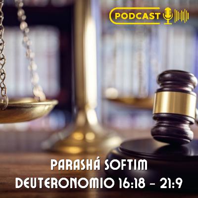 Parashá Shoftim