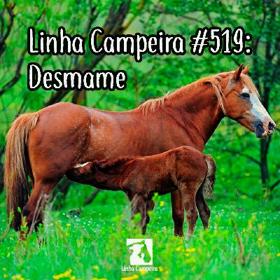 Episódio #519 - Desmame
