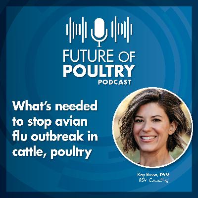 What's needed to stop avian flu outbreak in cattle, poultry