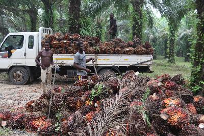 Hunger.Macht.Profite: Landgrabbing