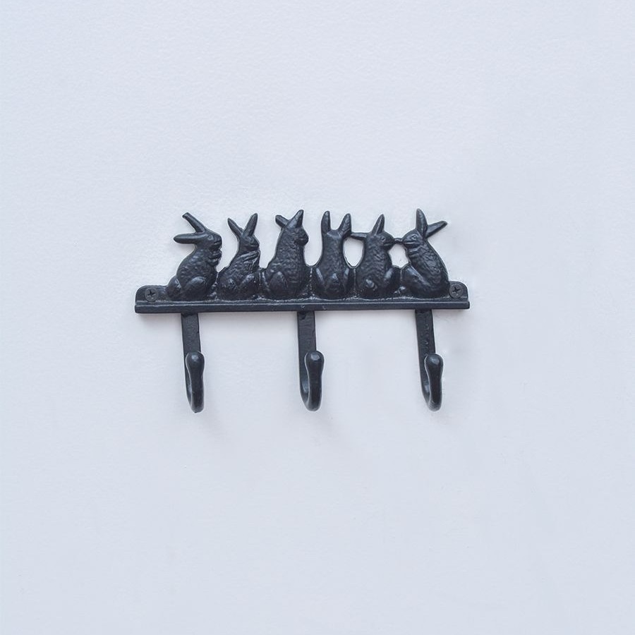 6 Ways of using Wall Hooks for Home Decoration