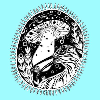 09. The Nut Owl and the Mushroom Islands