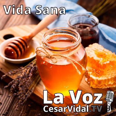 Vida Sana: La dulce muerte blanca (6) - 03/03/21