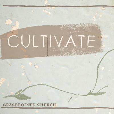 Cultivate : Patience