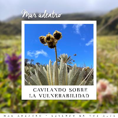 10. Cavilando sobre la vulnerabilidad
