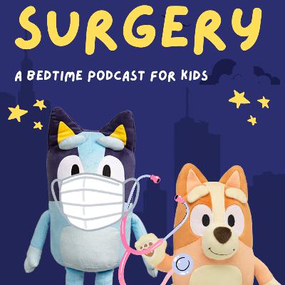 Bluey: Surgery