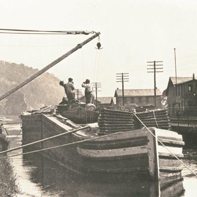 6 The Garden In The Machine