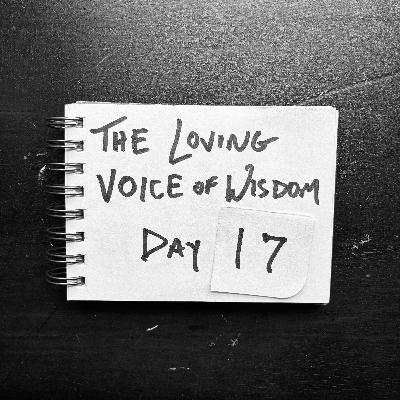 Day 17 | The loving voice of wisdom (& Mister Rogers)