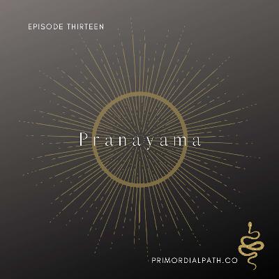 The 8 Limbs: Pranayama